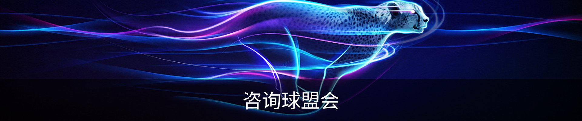 咨询球盟会